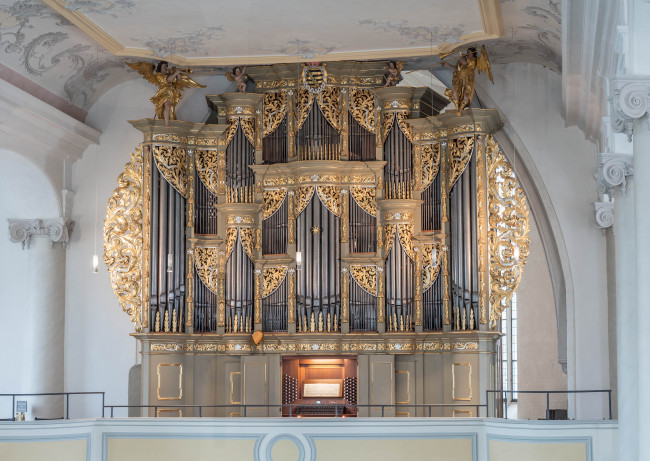 Schuke-Orgel